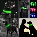 LightDog - Coleira de Led Para Cães