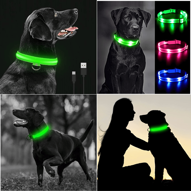 LightDog - Coleira de Led Para Cães