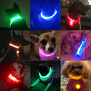 LightDog - Coleira de Led Para Cães