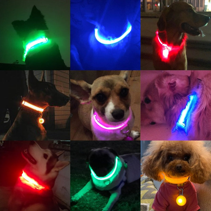 LightDog - Coleira de Led Para Cães