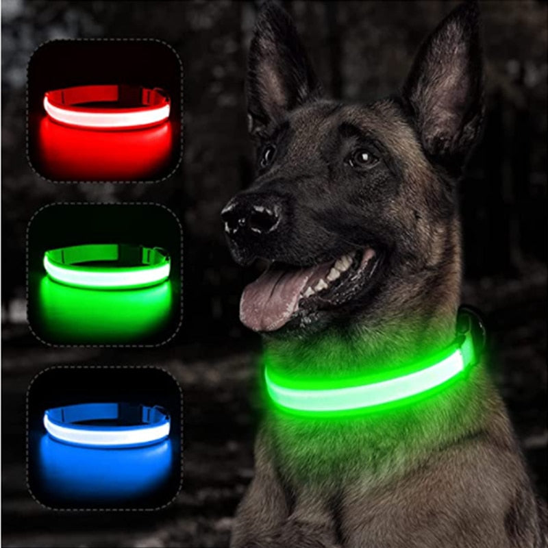 LightDog - Coleira de Led Para Cães