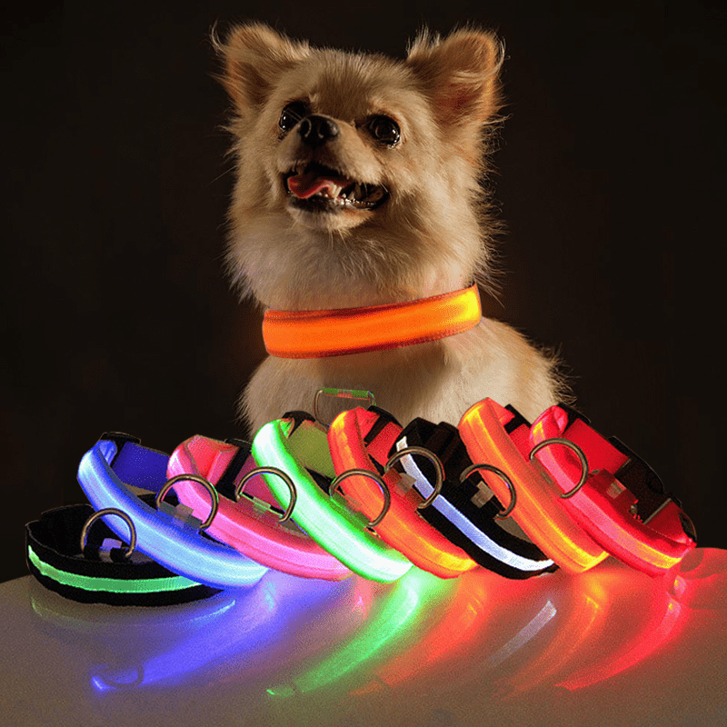 LightDog - Coleira de Led Para Cães